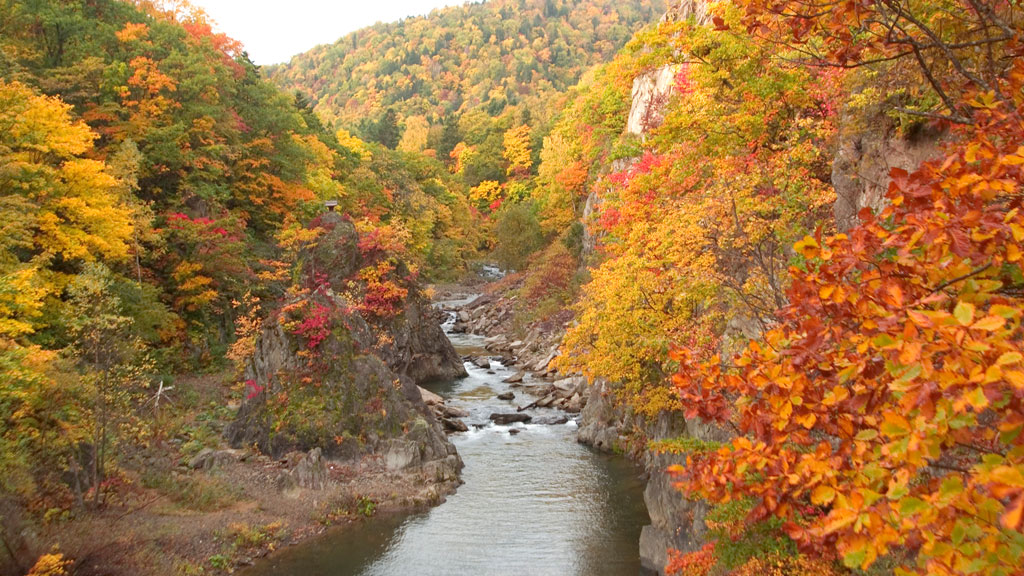 Hidden Gems of Beautiful Autumn Leaves in Hokkaido 5 nights